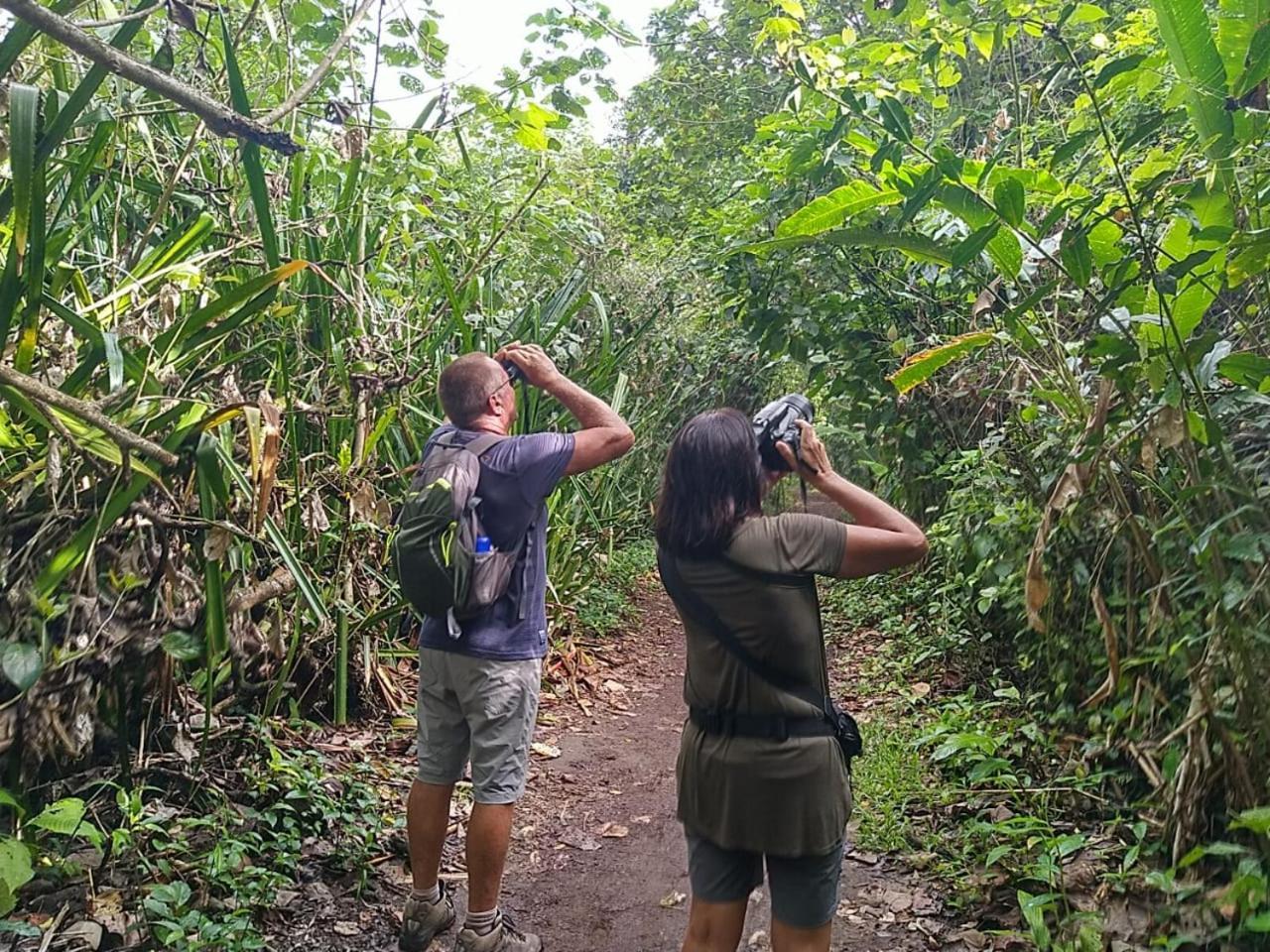 Chilamate Room 2 Tortuguero Ngoại thất bức ảnh